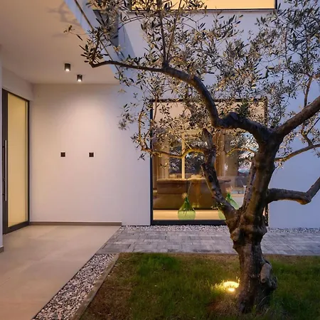 Modern Tonka With Pool And Grill In Porec Villa