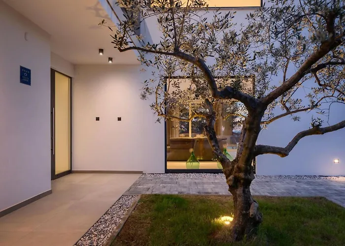 Modern Tonka With Pool And Grill In Porec 빌라